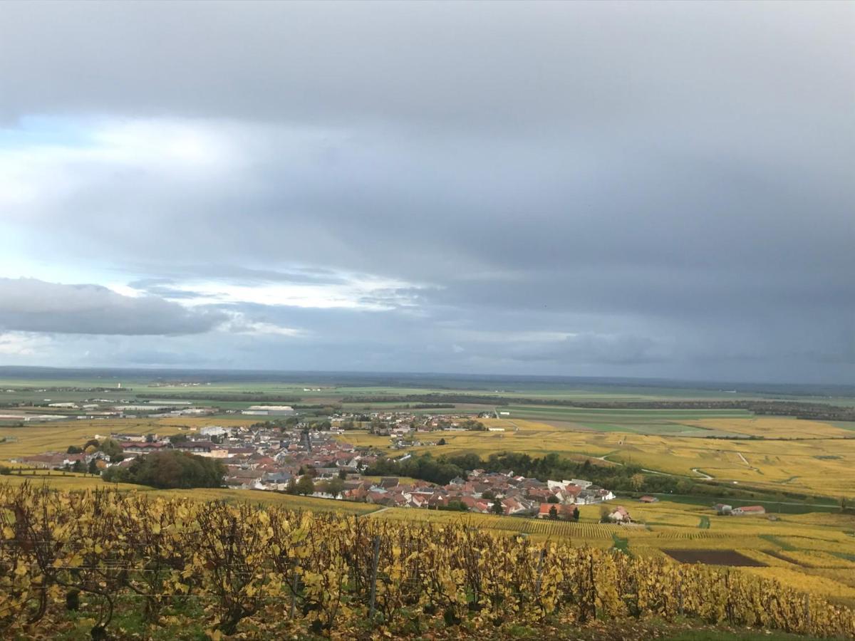 مبيت وإفطار Le Mesnil-sur-Oger Les Cepages المظهر الخارجي الصورة